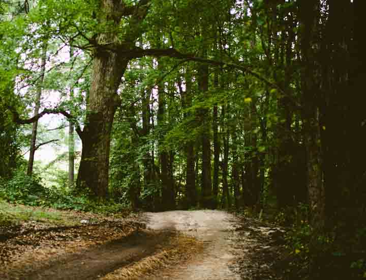 快速到账的ddos压力测试平台